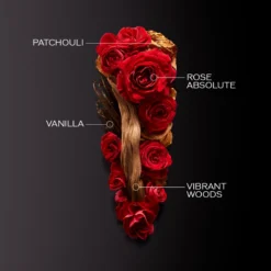 Shiseido Ginza Intense EDP 30 Ml 14 Shiseido Ginza Intense EDP 30 Ml -Parfume Verden 7686141996942