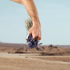 Dolce & Gabbana K Pour Homme EDT 100 Ml -Parfume Verden 80579711815445