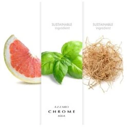 Azzaro Chrome Aqua EDT 100 Ml -Parfume Verden azzaro chrome aqua edt 100 ml 1615294031