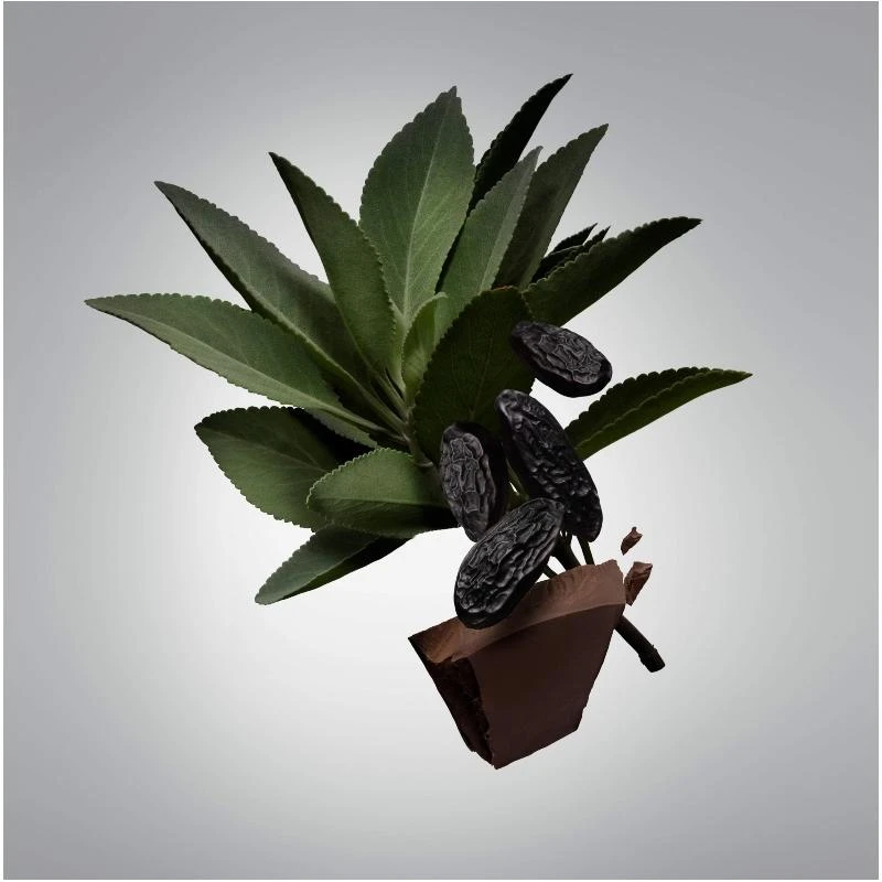 Carolina Herrera Bad Boy Deodorant Natural Spray For Him 100 Ml 4 Carolina Herrera Bad Boy Deodorant Natural Spray For Him 100 Ml - Billede 2