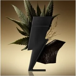 Carolina Herrera Bad Boy EDP 100 Ml -Parfume Verden carolina herrera bad boy edp 100 ml 1651823183