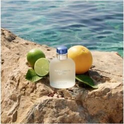 Dolce & Gabbana Light Blue Pour Homme EDT 75 Ml -Parfume Verden dolce gabbana light blue pour homme edt 75 ml 1655791909