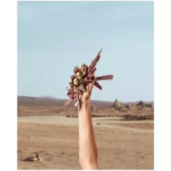 Dolce & Gabbana Q By Dolce & Gabbana EDP 50 Ml 7 Dolce & Gabbana Q By Dolce & Gabbana EDP 50 Ml -Parfume Verden dolce gabbana q by dolce gabbana edp 50 ml 1675156257