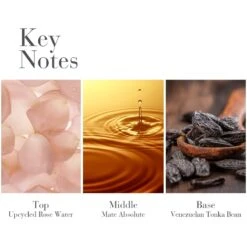 Elizabeth Arden White Tea EDP 50 Ml -Parfume Verden elizabeth arden white tea edp 50 ml 1661495569