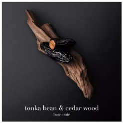 Giorgio Armani Code EDT 75 Ml -Parfume Verden giorgio armani code edt 75 ml 1677588548