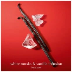 Giorgio Armani Sì Passione Éclat EDP 100 Ml 21 Giorgio Armani Sì Passione Éclat EDP 100 Ml -Parfume Verden giorgio armani si passione eclat edp 100 ml 1643369505