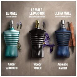 Jean Paul Gaultier ''Le Male'' Intense EDP 75 Ml -Parfume Verden jean paul gaultier le male intense edp 75 ml 1657697819