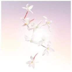 Lancome Lancôme Idôle EDP 25 Ml -Parfume Verden lancome idole edp 25 ml 1566552659