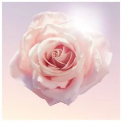 Lancome Lancôme Idôle EDP 50 Ml -Parfume Verden lancome idole edp 50 ml 1566549945