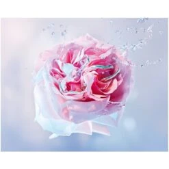 Mugler Angel Nova Refillable EDP 50 Ml -Parfume Verden mugler angel nova refillable edp 50 ml 1612786816