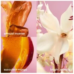 Paco Rabanne Fame EDP 30 Ml -Parfume Verden paco rabanne fame edp 30 ml 1661930908