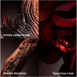 Paco Rabanne One Million Elixir EDP 50 Ml -Parfume Verden paco rabanne one million elixir edp 50 ml 1650958232