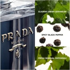 Prada L'Homme EDT 100 Ml -Parfume Verden prada lhomme edt 100 ml 1643617521