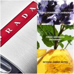 Prada Luna Rossa Carbon Men EDT 50 Ml -Parfume Verden prada luna rossa carbon men edt 50 ml 1628140302