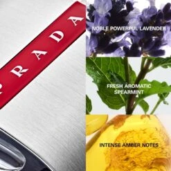 Prada Luna Rossa EDT 50 Ml -Parfume Verden prada luna rossa edt 50 mln 1657691554