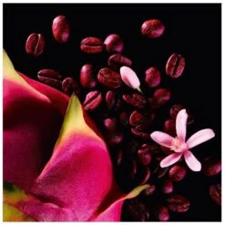 Yves Saint Laurent YSL Black Opium Neon EDP 30 Ml 9 Yves Saint Laurent YSL Black Opium Neon EDP 30 Ml -Parfume Verden ysl black opium neon edp 30 ml 1580306642