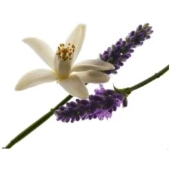 Yves Saint Laurent YSL Libre For Her EDP 50 Ml -Parfume Verden ysl libre for her edp 50 ml 1581340094