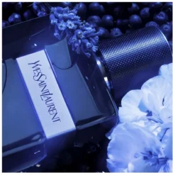 Yves Saint Laurent YSL Y EDP Intense 100 Ml -Parfume Verden ysl y edp intense 100 ml 1677650398