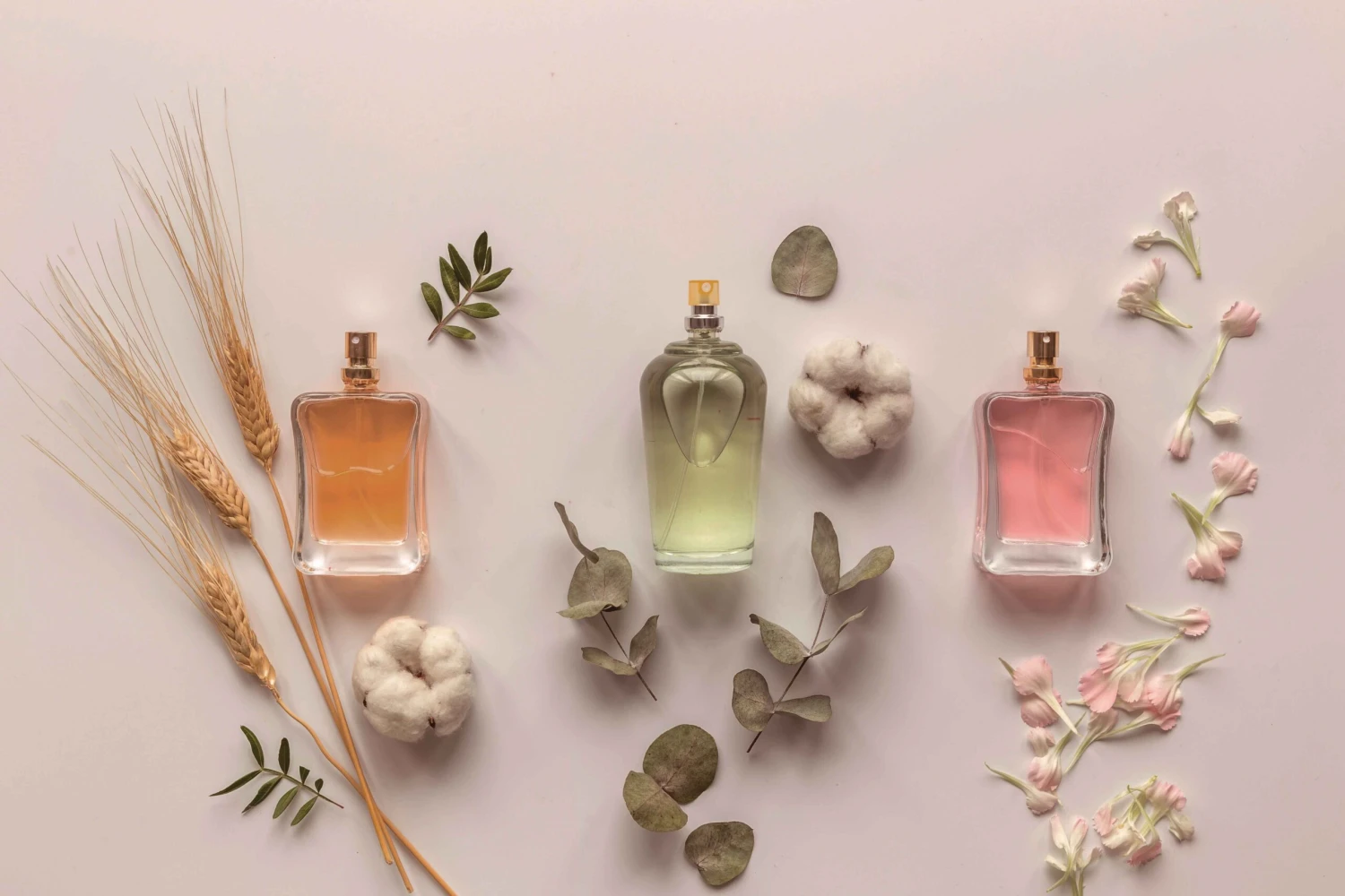 Parfume Verden -Parfume Verden Profumi e natura AdobeStock 4393254042 2 scaled 1